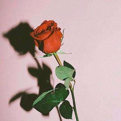 开元im电竞官网