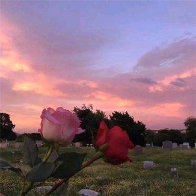 半岛·综合体育app下载