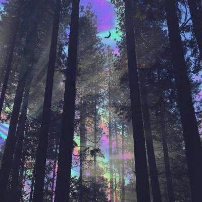 金沙集团9500官网下载手机版