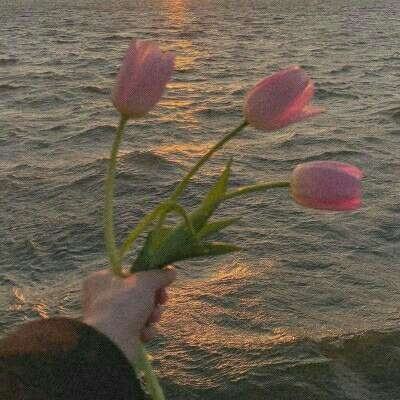 ng体育电子游戏下载手机版截图