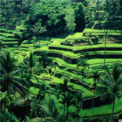 开玩棋牌下载手机版