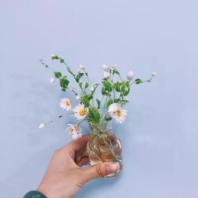 bte365真正的网站手机app下载