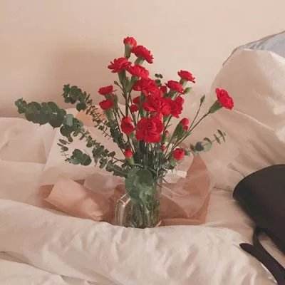 幸运28下载手机版