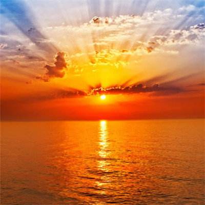 美高梅网址手机app下载